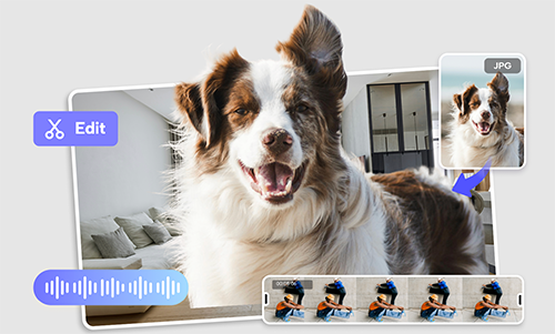 Fotos de tu mascota en video